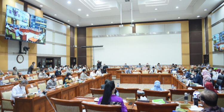 Menteri LHK Raker dengan Komisi IV DPR, Bahas Program Ini