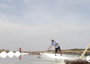 Menteri KKP Dorong Penjualan Garam melalui Saluran Digital Daring