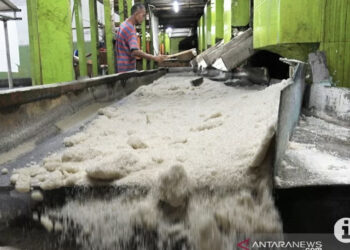 Peneliti: Bangun Pabrik Gula Harus dengan Riset dan Teknologi