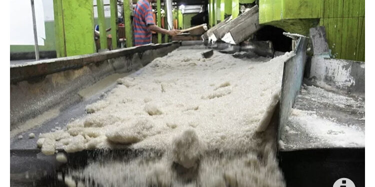 Peneliti: Bangun Pabrik Gula Harus dengan Riset dan Teknologi