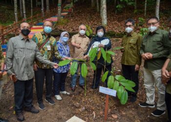 Menteri LHK Kunjungi Pusat Informasi Mangrove Delta Mahakam