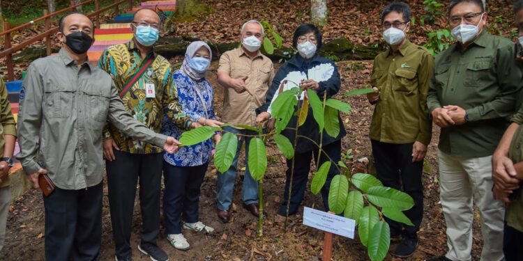 Menteri LHK Kunjungi Pusat Informasi Mangrove Delta Mahakam
