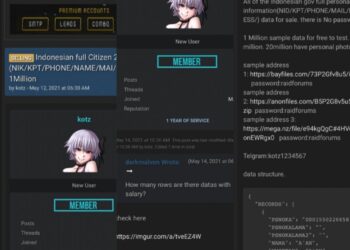 Kinerja BSSN Dipertanyakan atas Bocornya Ratusan Juta Data Penduduk Indonesia