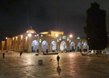 Terkait Palestina, Ketua MUI: Umat Islam Melakukan Perang untuk Perdamaian