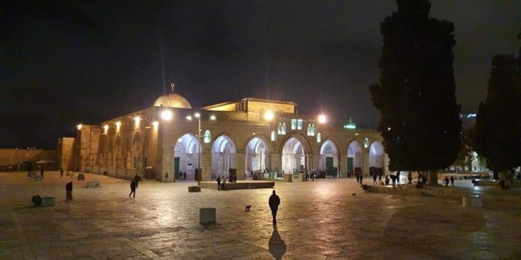 Terkait Palestina, Ketua MUI: Umat Islam Melakukan Perang untuk Perdamaian