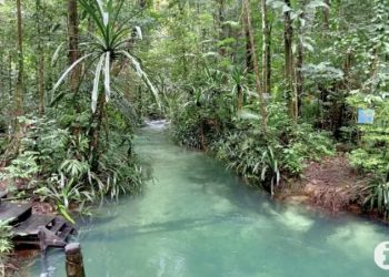 Wapres: Ayo Berwisata ke Raja Ampat