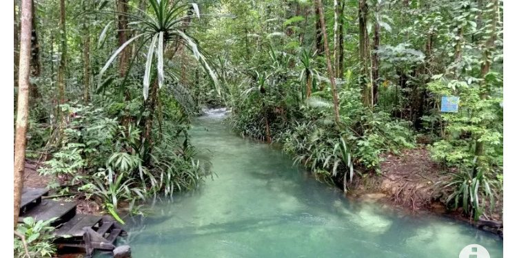 Wapres: Ayo Berwisata ke Raja Ampat