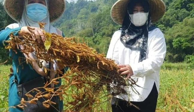 Cianjur Raih Prestasi Tiga Besar di Bidang Pertanian