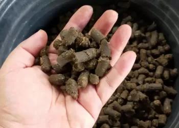 Strategi Pemerintah Tingkatkan Ketersediaan Biomassa