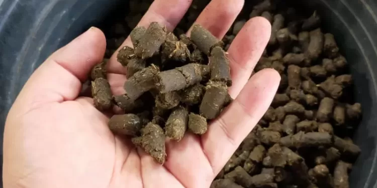 Strategi Pemerintah Tingkatkan Ketersediaan Biomassa