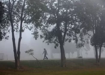 Lawan Polusi, Pakistan Akan Tanam 10 Miliar Pohon