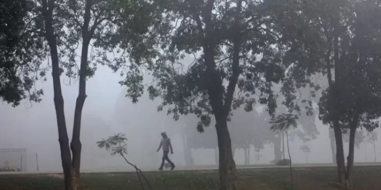 Lawan Polusi, Pakistan Akan Tanam 10 Miliar Pohon