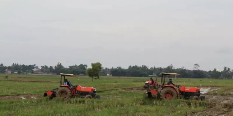 Ombudsman Nilai Peran Pemerintah Penting Dorong Kesejahteraan Petani