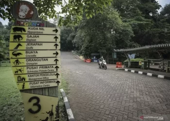 Pembukaan Kembali Ragunan Tunggu Keputusan Pemprov DKI