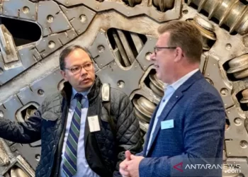 Dubes RI Undang Perusahaan Swedia Tingkatkan Investasi di Tanah Air