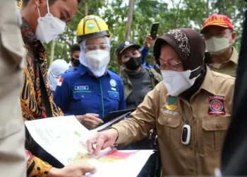 BMKG Peringatkan Kabupaten Pacitan Siapkan Skenario Terburuk Tsunami