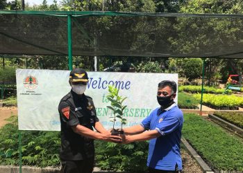 KLHK Salurkan 50.000 Bibit Pohon di Majalengka
