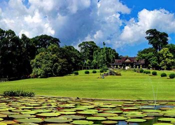 Menjaga Marwah Kebun Raya Bogor Indonesia