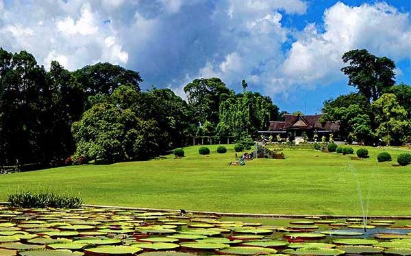 Menjaga Marwah Kebun Raya Bogor Indonesia