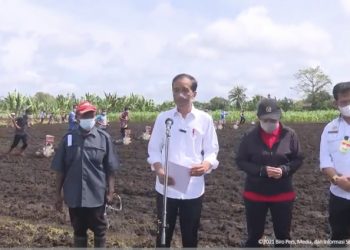 Papua Barat Memiliki Potensi Menjadi Produsen Utama Pertanian di Indonesia Timur