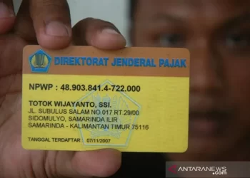 RUU Harmonisasi Peraturan Pajak Tambah Fungsi NIK Menjadi NPWP