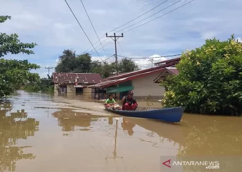 BPBD Kapuas Hulu Sebut 10.596 Rumah Warga Terendam Banjir