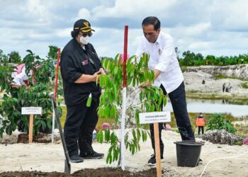 Presiden Kunjungi Area Bekas Tambang di Kalbar, Upaya Pemulihan Lingkungan