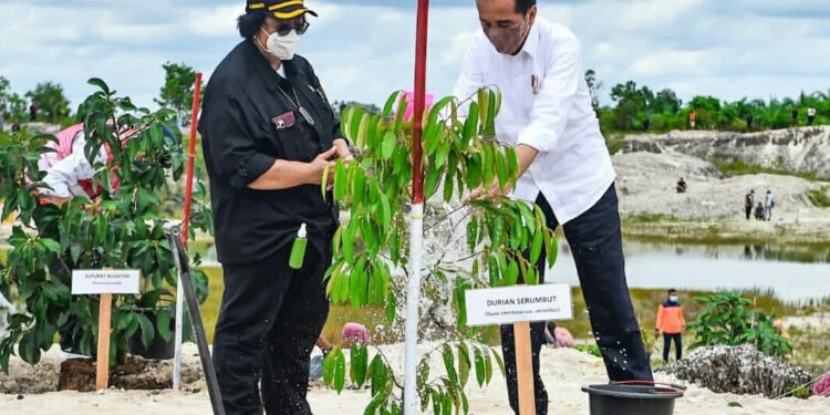 Presiden Kunjungi Area Bekas Tambang di Kalbar, Upaya Pemulihan Lingkungan