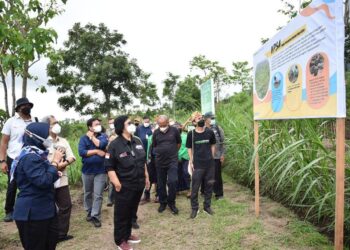 Menteri LHK Bersama Green Leader Indonesia (GLI) Tanam 86.000 Pohon