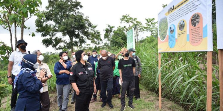 Menteri LHK Bersama Green Leader Indonesia (GLI) Tanam 86.000 Pohon