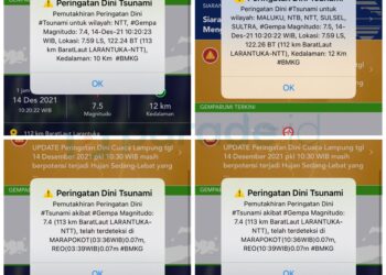 Peringatan Dini Tsunami oleh BMKG Hari Ini