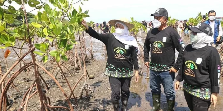 Gubernur Jatim Ajak Masyarakat Hidupkan Kembali Tradisi Menanam