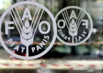 FAO Apresiasi Pertanian dan Ketahanan Pangan Indonesia Selama Pandemi