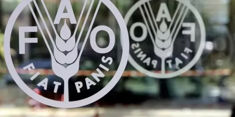 FAO Apresiasi Pertanian dan Ketahanan Pangan Indonesia Selama Pandemi