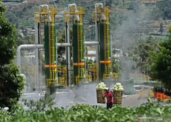 Indef: Peran Swasta Krusial dalam Pengembangan Ekonomi Hijau