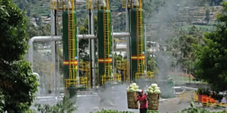 Indef: Peran Swasta Krusial dalam Pengembangan Ekonomi Hijau