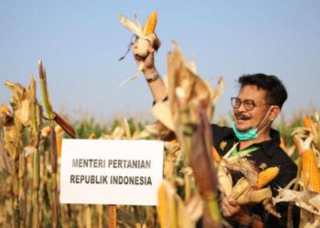 Mentan Sebut Komoditas Jagung Peran Strategis dalam Perekonomian Nasional