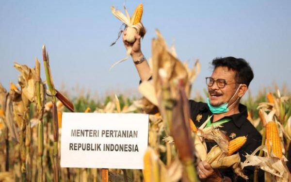 Mentan Sebut Komoditas Jagung Peran Strategis dalam Perekonomian Nasional