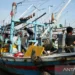 KKP Permudah Perizinan Nelayan Pantura Beralih Alat Tangkap