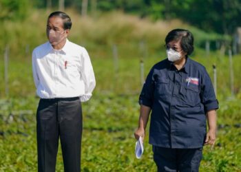 Komitmen Presiden terhadap Perubahan Iklim