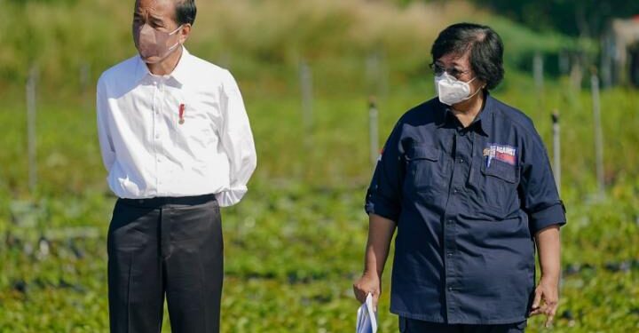 Komitmen Presiden terhadap Perubahan Iklim