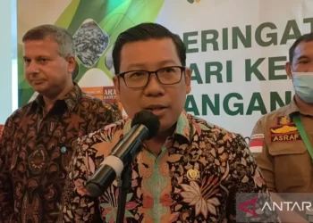 Badan Pangan Nasional Pastikan Daging Sapi Masih Bisa Tercukupi