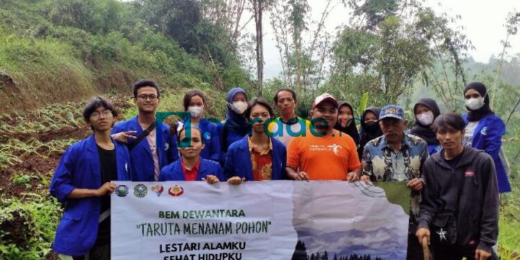 BEM STIE Dewantara Bersama Masyarakat Melakukan Tanam 2.000 Bibit Pohon