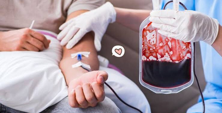 Menyambut Milad 14 AQL, Ashabul Kahfi Mengadakan Donor Darah