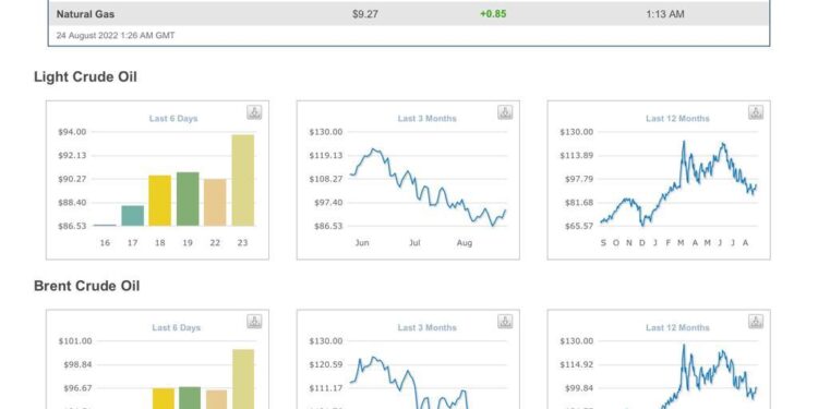 Menaikkan Harga Pertalite saat Ini akan Langsung Memantik Inflasi Tinggi