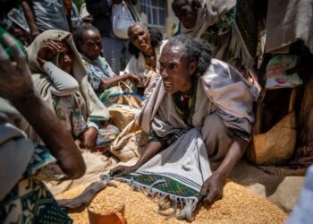 Gencatan Senjata Ethiopia dengan Tigray