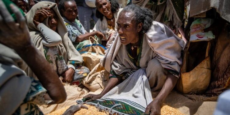 Gencatan Senjata Ethiopia dengan Tigray