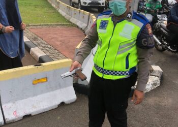 Seorang Wanita Coba Terobos Istana Presiden