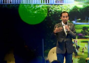 Pemerintah Buka Peluang 80 Persen Investor untuk Investasi di IKN
