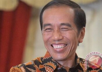 Perppu Ciptaker Masih Jauh Memenuhi Kriteria untuk Memakzulkan Presiden
